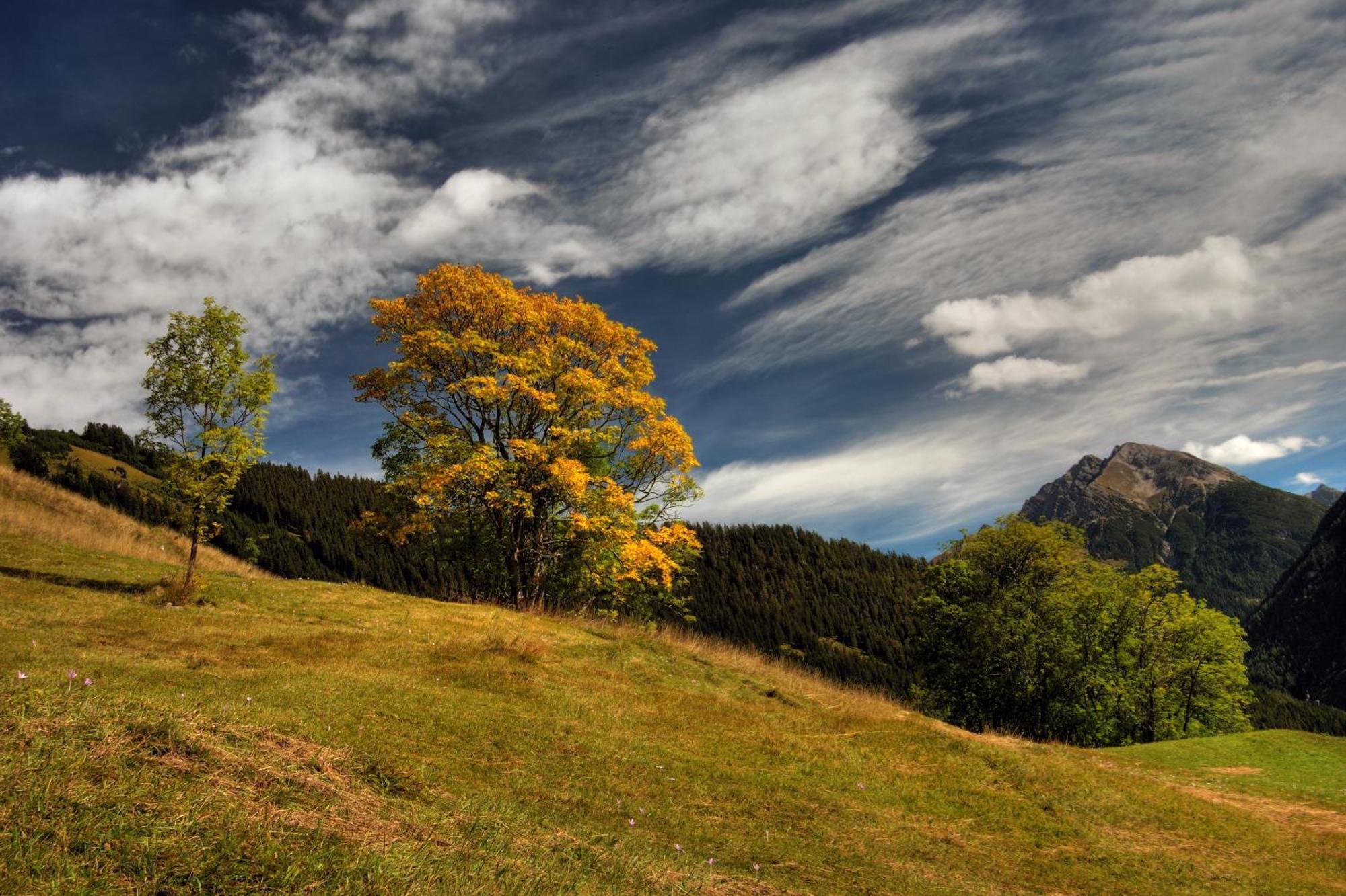 Schoenauer Hof Bach  Oda fotoğraf